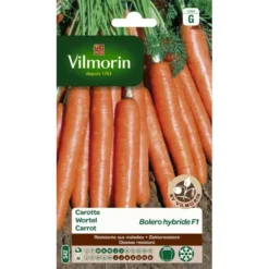Wortel Boléro HF1 10 G