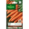Wortel Nanco HF1 - Daucus Carota -Goedkope Tuin Adem Winkel wortel nanco hf1 daucus carota 1646839510 12 600