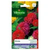 Zinnia Grootbloemig Gemengd - Zinnia Elegans