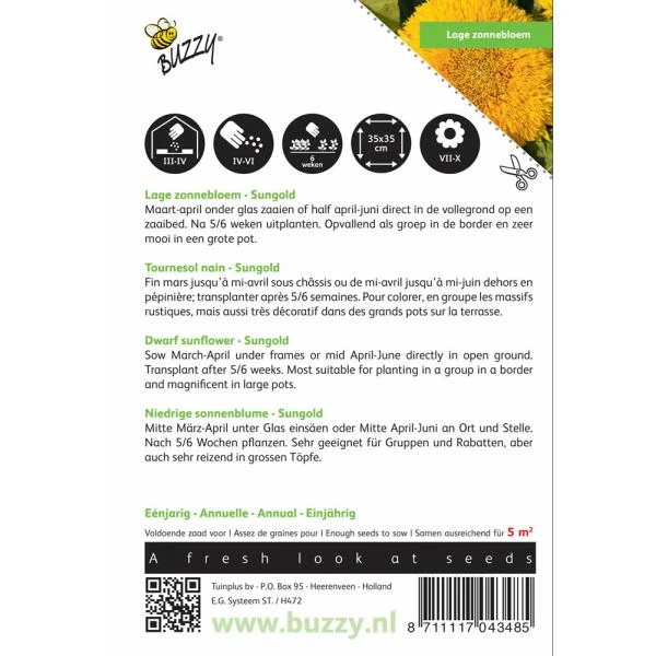 Zonnebloem Sungold - Helianthus Annuus 4 Zonnebloem Sungold - Helianthus Annuus - Afbeelding 2