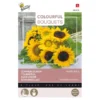 Zonnebloemen Sunlit Days -Goedkope Tuin Adem Winkel zonnebloemen sunlit days 1646840390 1642 600