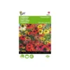 Zonnehoed - Rudbeckia Cheyenne Spirit -Goedkope Tuin Adem Winkel zonnehoed rudbeckia cheyenne spirit 1646840392 1680 600