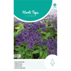 Zonnewende Marine - Heliotropium Peruvianum